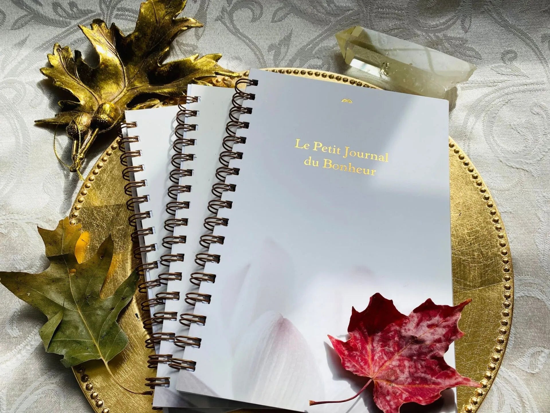 Livre "Le Petit Journal du Bonheur"